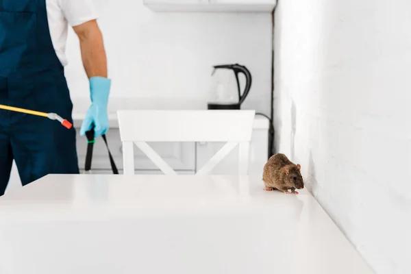 The Psychological Effects of Cockroach Infestations in Sydney Homes